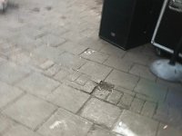 IMG 0884