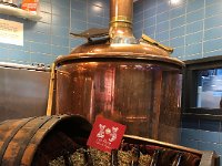 IMG 3693